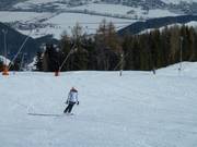 Snow lances on the valley run