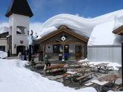 Little Dollie Waffles