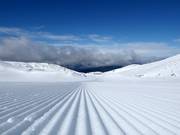 Perfect slope preparation on Mount Parnassos