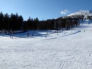 Practice slope with conveyor belt