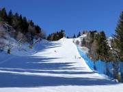 Slope Zoncolan 3 - Alta