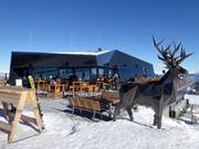 Gastronomy tip Eagle