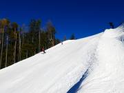 Short black section Ried