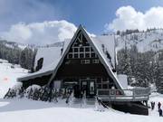 Gastronomy tip Molly Greens