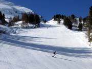 Forest trail descents in the lower area of the Zehnerkar
