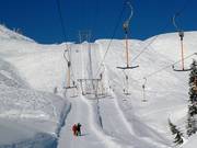 Fallenboden 2 - T-bar