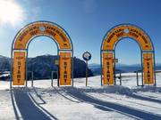 Parallel giant slalom Hexe