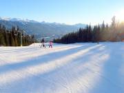 Easy slope Schoolhouse