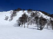 Mogul slopes in Annupuri