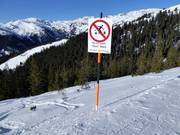 Protection of the forest