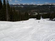 Valley run Mary Jane