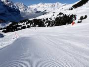 Perfectly groomed slope from Kleine Scheidegg
