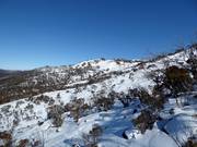Freeride and powder slopes in the upper area of Thredbo