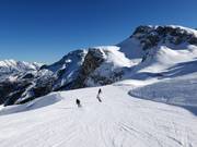 Easy Olympic Downhill Ladies