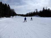 Practice slope with its own drag lift at the valley station