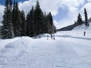 Magic Carpet Solitude