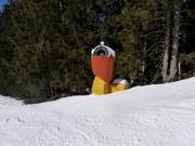 Mobile snowmaking systems in the ski area