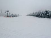 Antelao Cino Menegus downhill run