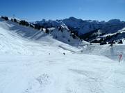 Intermediate slope Hohe Wacht