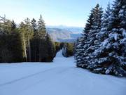 View of the intermediate slope "Rennstrecke"