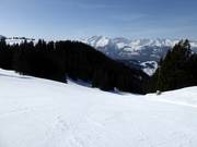Schwendi slope with panoramic view