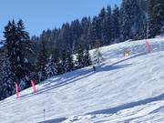 Speed measurement run: Hexenschuss at Siller-Keat in Söll