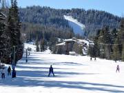 Easy slope Beginner at Silver Platter