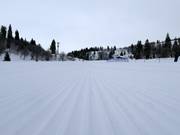 Very good slope grooming