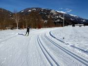 Well-groomed cross-country trails in the Lienz valley floor