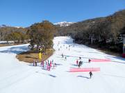 View of the beginner area Friday Flat