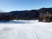 Easy slope Walkabout