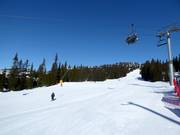 Easy slope Nybegynnerbakken