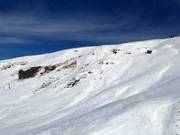 View of the Saddle Basin