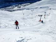 Kari Traa-trekket - T-bar