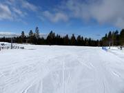Beginner slope in Skicenter Syd