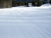 Wide and perfectly groomed