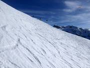 Deep-snow slope at Metschstand