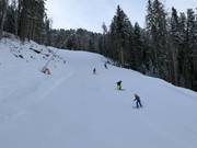 Difficult slope 14 Balbach-Ochsengarten