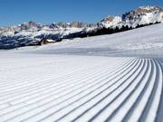 Perfect slope grooming in the Jochgrimm ski area