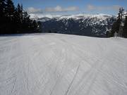 Perfectly groomed slope