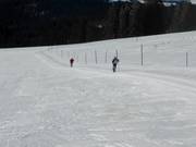 The long-distance ski trail Schonach-Belchen, here below the Stübenwasen