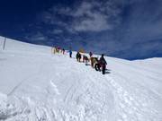 Ascent to Mt. Niseko Annupuri