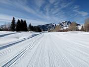 Trails at the Sun Valley Nordic Center