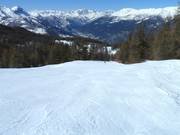 Forest run in Sauze d'Oulx