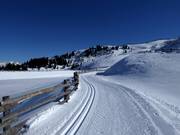 High-altitude trail Platschjoch