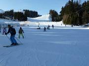 Beginner area at the Almboden platter lift