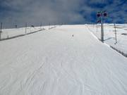 Slope Maaliman Cup (No. 25)