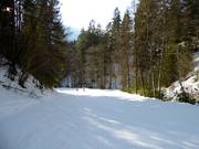 Valley run Sauhöll to Bayrischzell