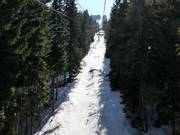 Trails through the forests