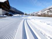 Perfectly groomed cross-country trails in Sillian